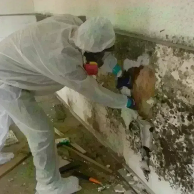 Mold Remediation and Removal in Caldwell Parish, LA